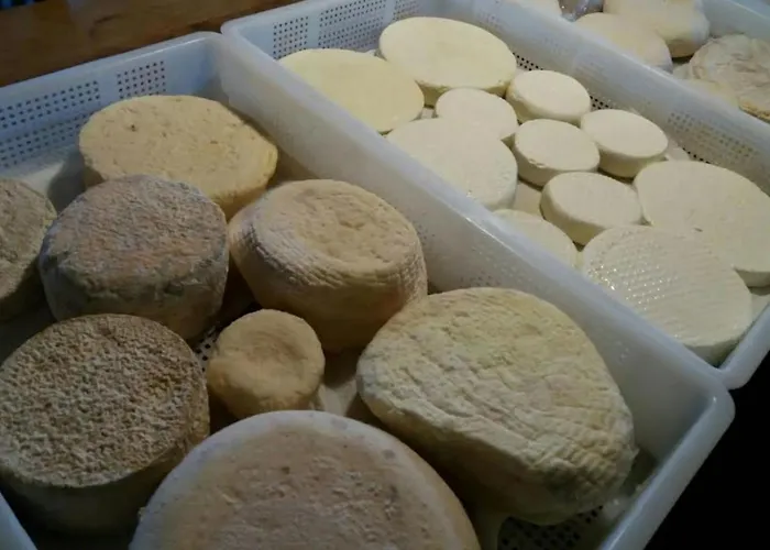Di Charme E Ristorante Stallato Il Filo Di Paglia * Carro