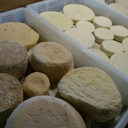 Di Charme E Ristorante Stallato Il Filo Di Paglia * Carro