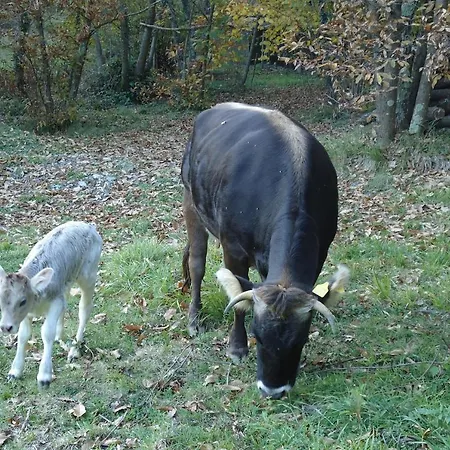 Farm stay Di Charme E Ristorante Stallato Il Filo Di Paglia *