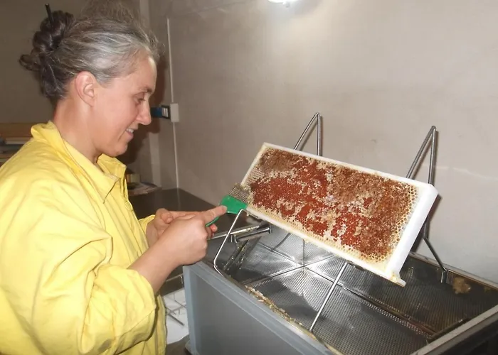 Di Charme E Ristorante Stallato Il Filo Di Paglia